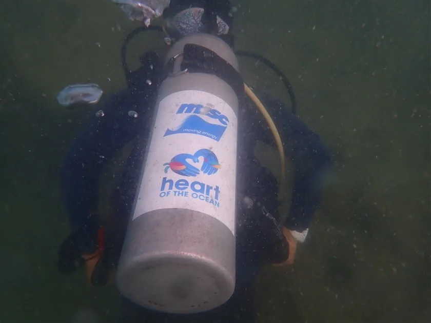 Reef 5